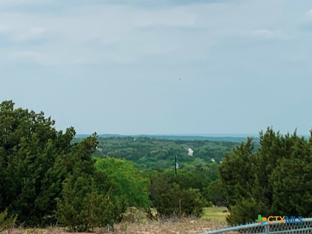 880 County Road 3100, Kempner, TX 76539 - photo 28