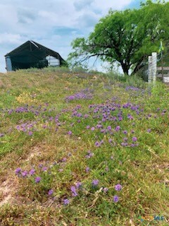 880 County Road 3100, Kempner, TX 76539 - photo 30
