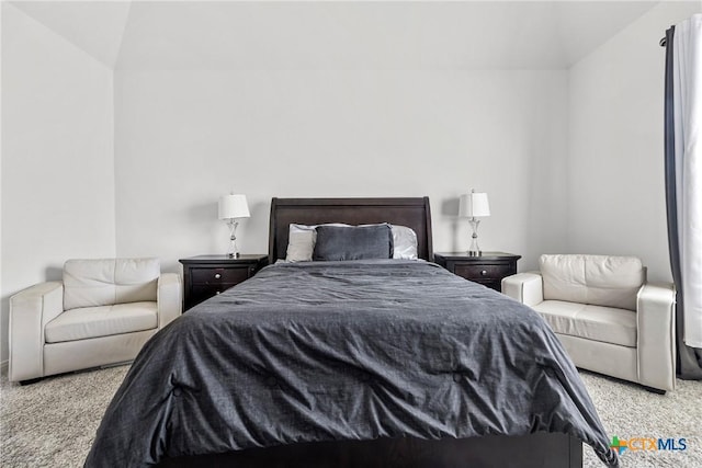 bedroom featuring carpet