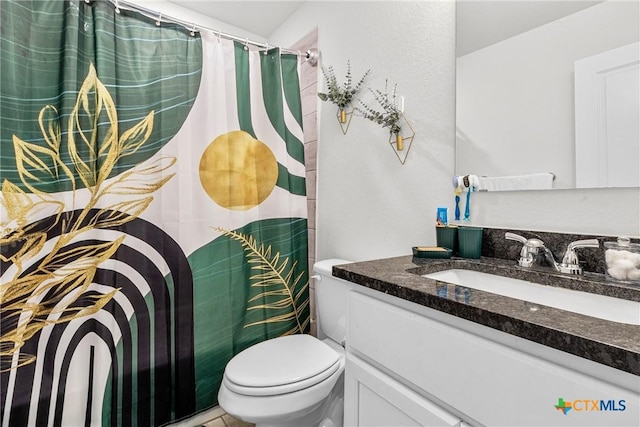 full bathroom featuring vanity, toilet, and a shower with curtain