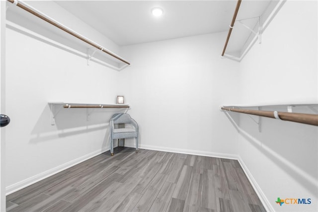 spacious closet with hardwood / wood-style flooring