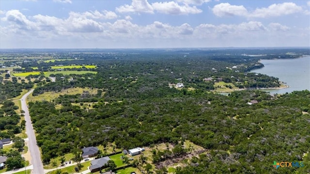 14311 Kuykendall Mountain Rd, Temple, TX 76502 - photo 15