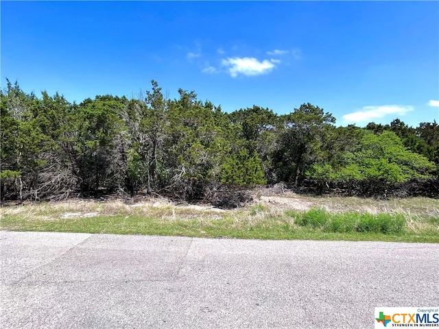 15992 Charlya Dr, Temple TX, 76502 land for sale