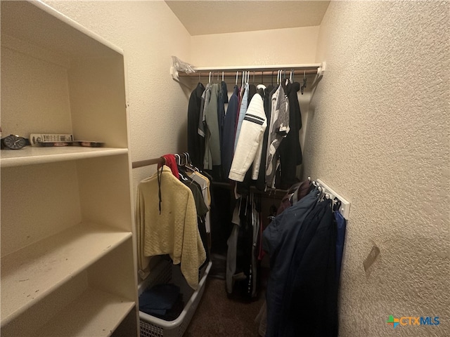 walk in closet featuring carpet flooring