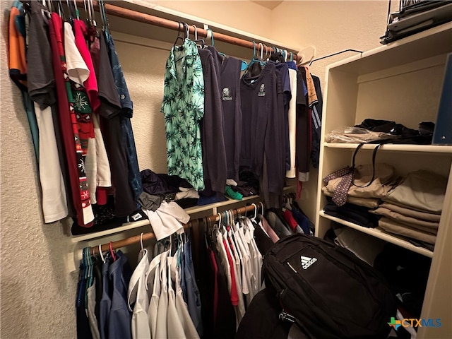 spacious closet with carpet