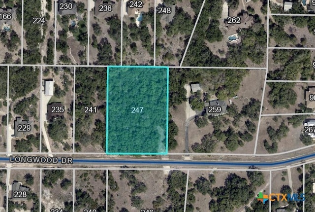 247 Longwood Dr, New Braunfels, TX 78132 - photo 1