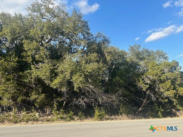 247 Longwood Dr, New Braunfels, TX 78132 - photo 2