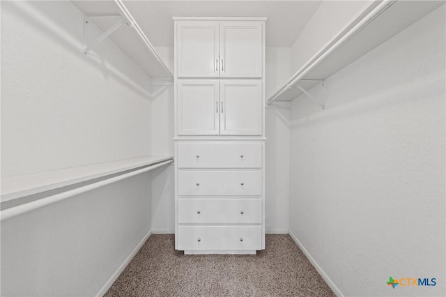 spacious closet featuring light carpet