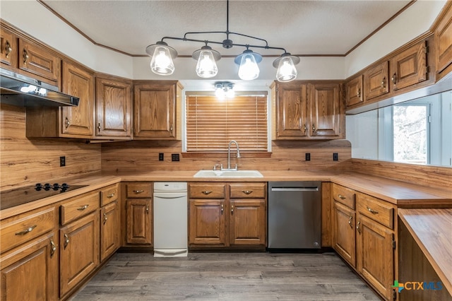 kitchen featuring sink, dark hardwood / wood-style floors, hanging light fixtures, ventilation hood, and dishwasher