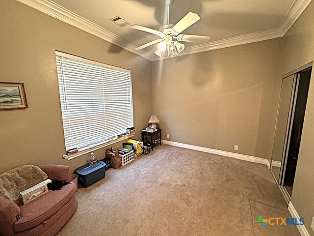 misc room with carpet, ornamental molding, ceiling fan, and a healthy amount of sunlight