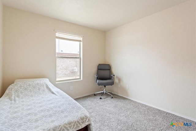 bedroom with carpet floors and baseboards