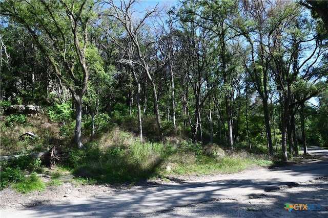 6013 Hamlet Dr, Belton, TX 76513 - photo 13