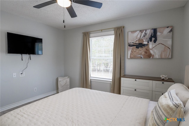 804 N Main St, Copperas Cove, TX 76522 - photo 12