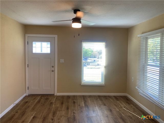 foyer with a healthy amount of sunlight, a textured ceiling, and dark hardwood / wood-style flooring