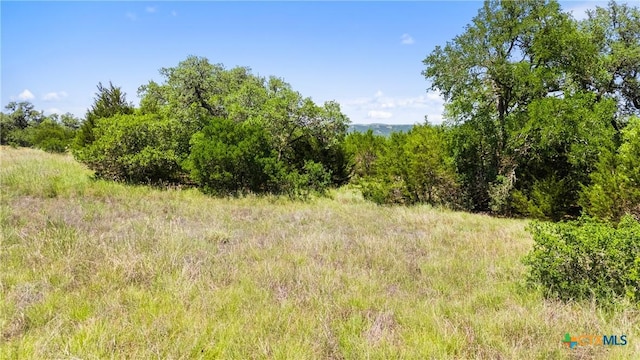 2153 San Jose Way, Canyon Lake, TX 78133