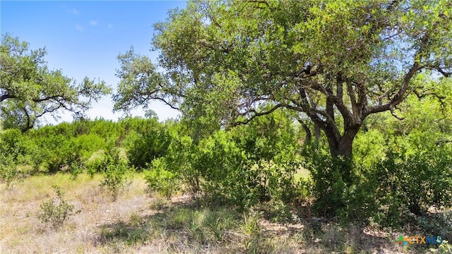 2153 San Jose Way, Canyon Lake, TX 78133