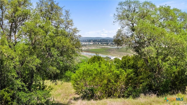 2153 San Jose Way, Canyon Lake, TX 78133