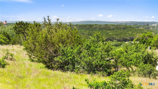 2153 San Jose Way, Canyon Lake, TX 78133