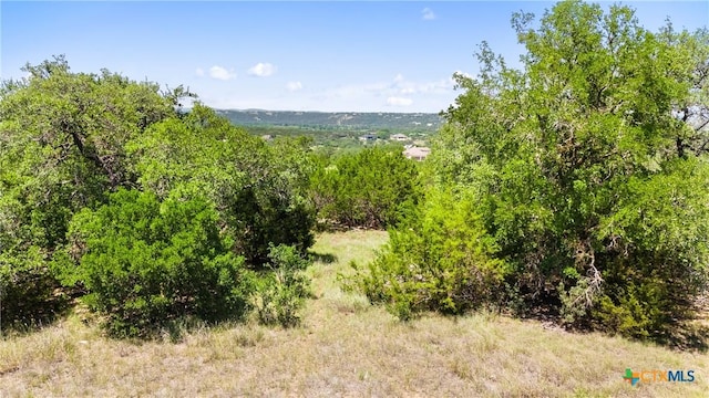 2153 San Jose Way, Canyon Lake, TX 78133