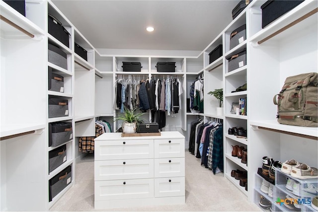 spacious closet with light carpet