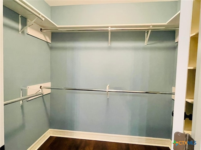 spacious closet with hardwood / wood-style flooring