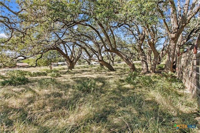 1410 Greenlawn Pkwy, Blanco TX, 78606 land for sale