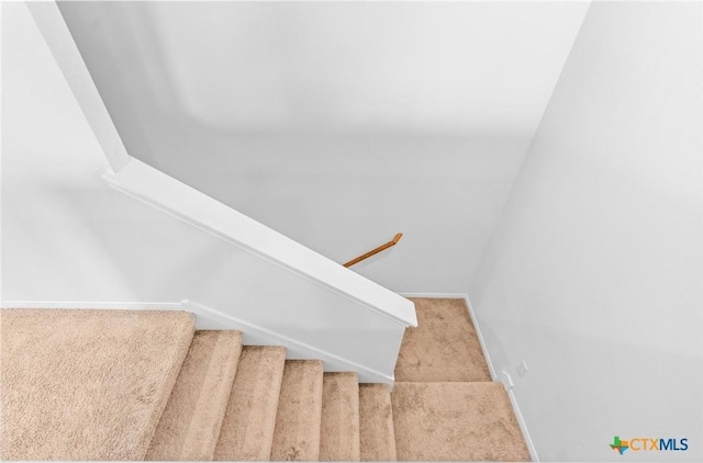 staircase with baseboards and carpet