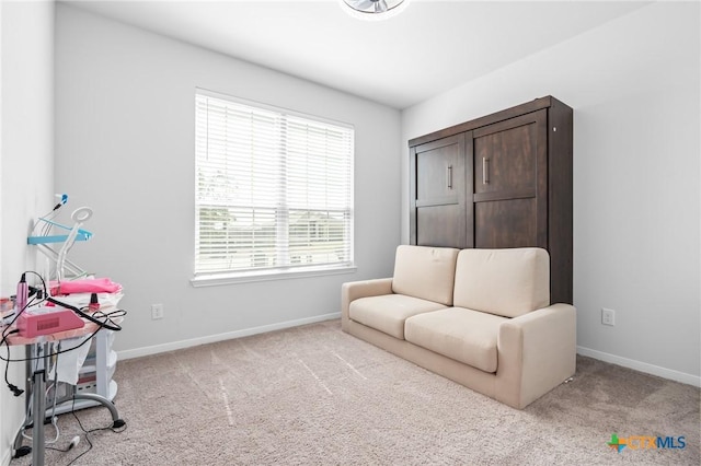 sitting room with baseboards and carpet