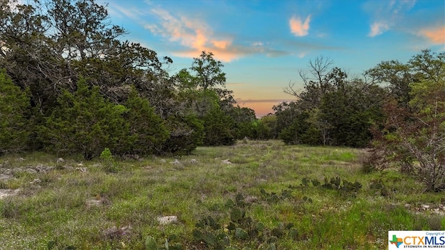 Listing photo 3 for 1147 Taylor Ranch Rd, Wimberley TX 78676