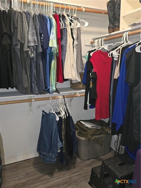 2301 Jake Dr, Copperas Cove, TX 76522 - walk in closet with wood finished floors