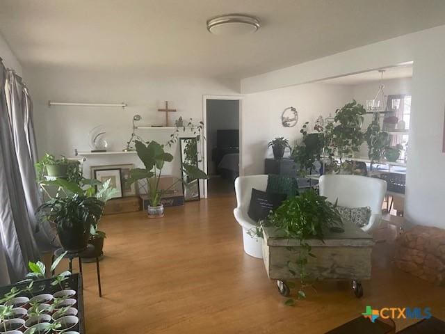 living room with hardwood / wood-style floors