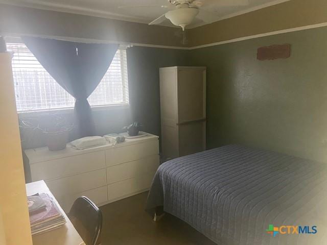 bedroom with ceiling fan and multiple windows