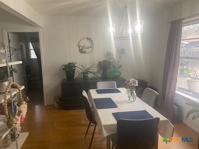 dining room with dark hardwood / wood-style floors and a chandelier