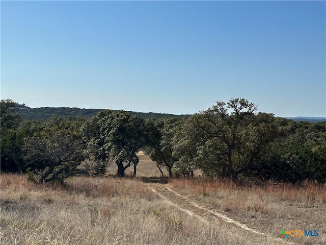 Listing photo 2 for LOT186 Blackbuck Ridge Dr, Lampasas TX 76550