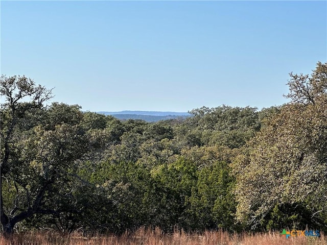 LOT186 Blackbuck Ridge Dr, Lampasas TX, 76550 land for sale