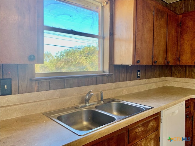 kitchen featuring white dishwasher, sink, and a wealth of natural light