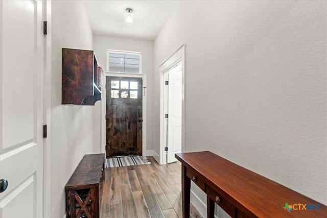 entrance foyer featuring light hardwood / wood-style floors