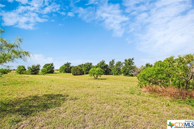 100 County Road 198, Hutto, TX 78634 - photo 9