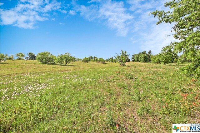 100 County Road 198, Hutto, TX 78634 - photo 11