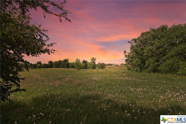 Listing photo 3 for 100 County Road 198, Hutto TX 78634