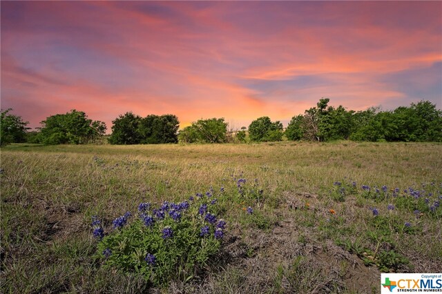 100 County Road 198, Hutto, TX 78634 - photo 6