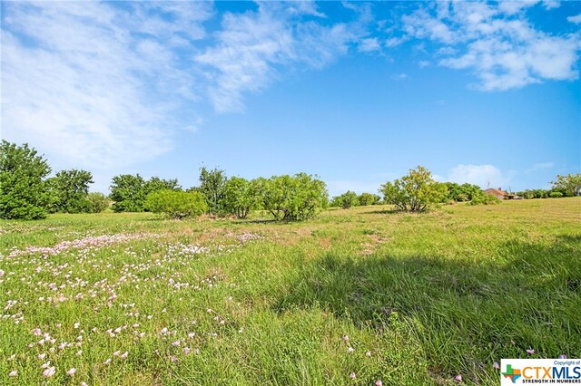 100 County Road 198, Hutto, TX 78634 - photo 10