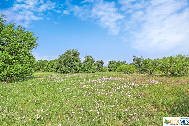 100 County Road 198, Hutto, TX 78634 - photo 8