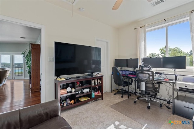 18917 Peckham Dr, Lago Vista, TX 78645 - home office with attic access and ceiling fan