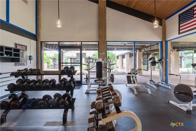 18917 Peckham Dr, Lago Vista, TX 78645 - workout area featuring high vaulted ceiling, healthy amount of natural light, and wood ceiling
