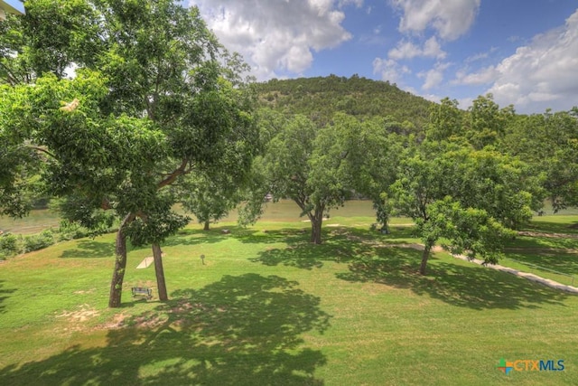 540 River Run Unit 305, New Braunfels, TX 78132 - photo 25