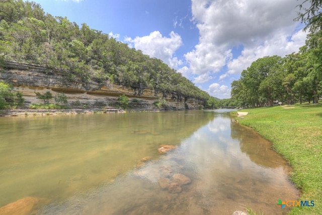 540 River Run Unit 305, New Braunfels, TX 78132 - photo 31