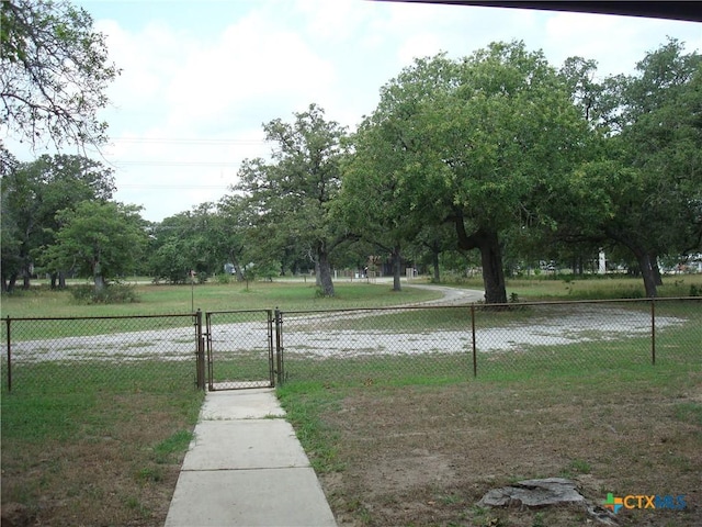 6421 Fm 1117, Seguin, TX 78155 - photo 4