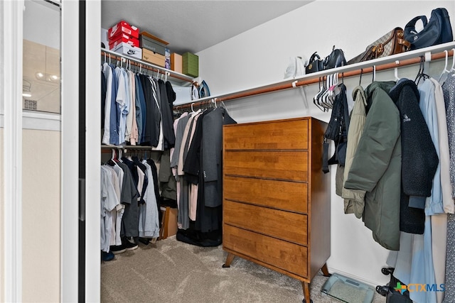 spacious closet featuring light colored carpet