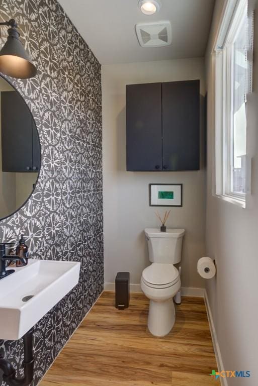 bathroom featuring sink, hardwood / wood-style flooring, and toilet